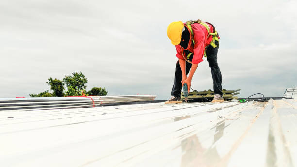 Best Commercial Roofing Services  in Goldstream, AK